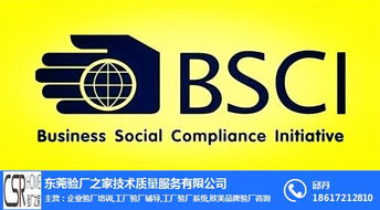 BSCI驗廠全面解析 費用、流程與專業(yè)咨詢服務(wù)指南